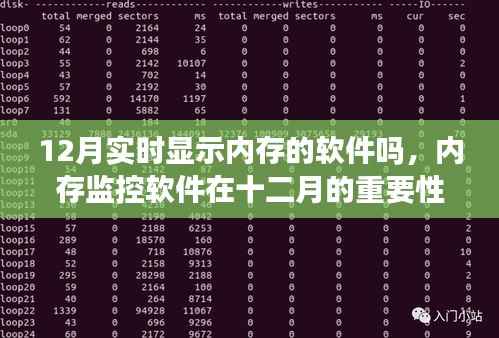 十二月内存监控软件的重要性与可行性分析,实时显示内存的软件应用探讨