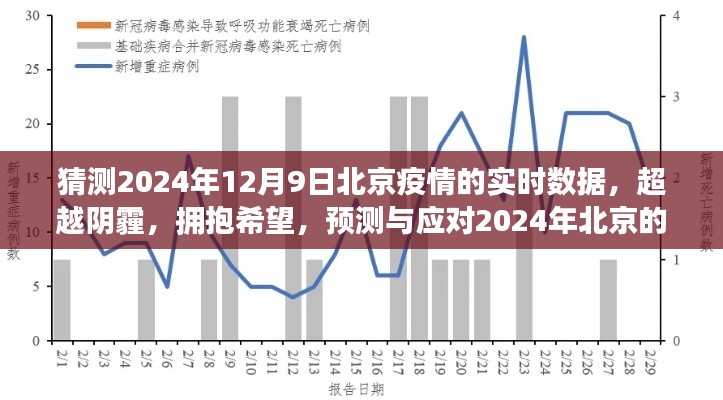 预测与应对之路,北京疫情挑战下的希望之光,2024年实时数据展望