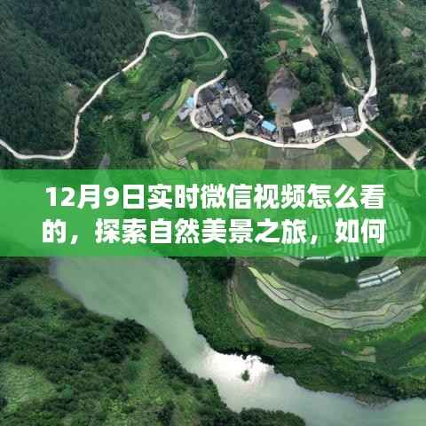 探索自然美景之旅,微信视频实时观看指南,感受宁静与力量的源泉