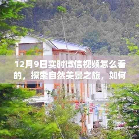 探索自然美景之旅,微信视频实时观看指南,感受宁静与力量的源泉