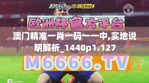 澳门精准一肖一码一一中,实地说明解析_1440p1.127