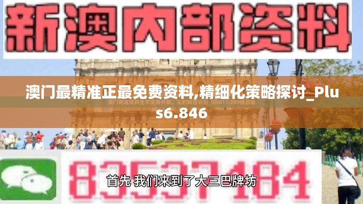 澳门最精准正最免费资料,精细化策略探讨_Plus6.846