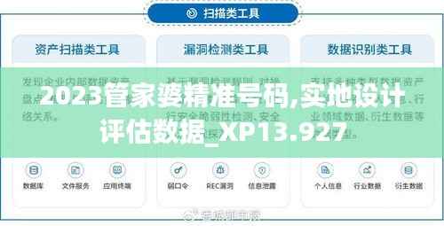 2023管家婆精准号码,实地设计评估数据_XP13.927
