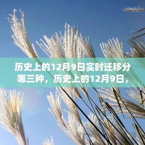 举世无双 第6页