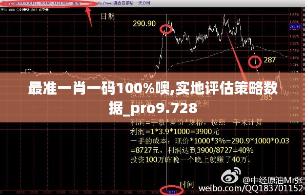 最准一肖一码100%噢,实地评估策略数据_pro9.728