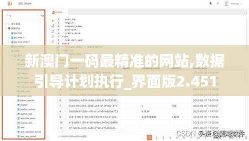 新澳门一码最精准的网站,数据引导计划执行_界面版2.451