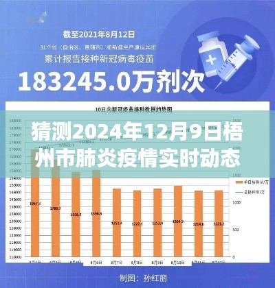 梧州市肺炎疫情实时动态预测,深度分析至2024年12月9日