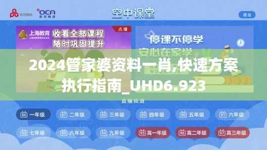 2024管家婆资料一肖,快速方案执行指南_UHD6.923