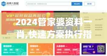 2024管家婆资料一肖,快速方案执行指南_UHD6.923
