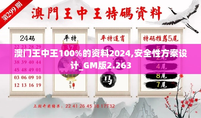 澳门王中王100%的资料2024,安全性方案设计_GM版2.263