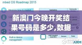 新澳门今晚开奖结果号码是多少,数据解析导向设计_PalmOS12.505