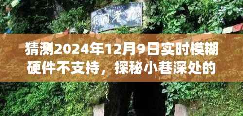 探秘小巷深处的宝藏,特色小店模糊硬件之旅遭遇实时支持挑战