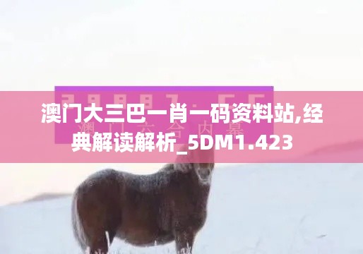 澳门大三巴一肖一码资料站,经典解读解析_5DM1.423