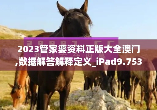 2023管家婆资料正版大全澳门,数据解答解释定义_iPad9.753