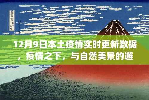 疫情下的自然美景之旅,寻找内心平静的旅程(实时更新数据)