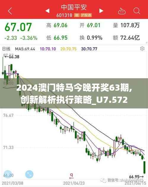 2024澳门特马今晚开奖63期,创新解析执行策略_U7.572