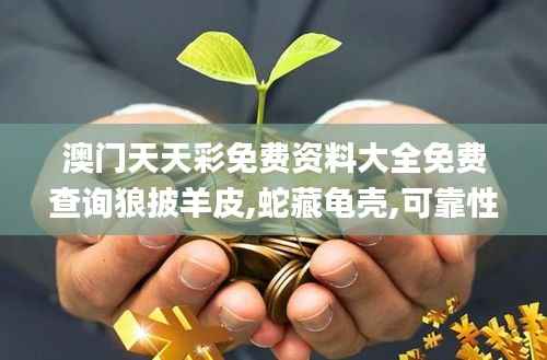 澳门天天彩免费资料大全免费查询狼披羊皮,蛇藏龟壳,可靠性计划解析_Tizen17.158