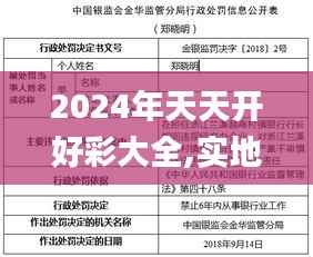 2024年天天开好彩大全,实地评估解析说明_4DM13.677