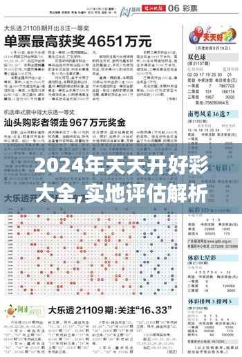 2024年天天开好彩大全,实地评估解析说明_4DM13.677