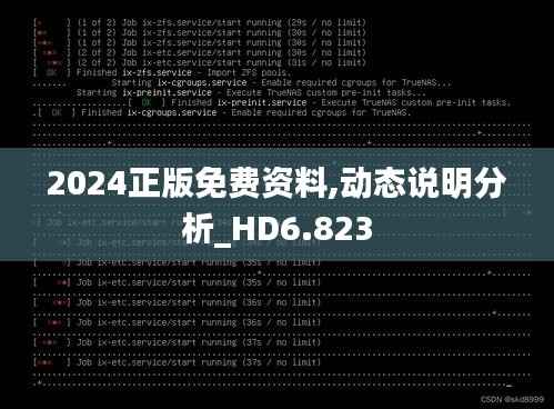 2024正版免费资料,动态说明分析_HD6.823