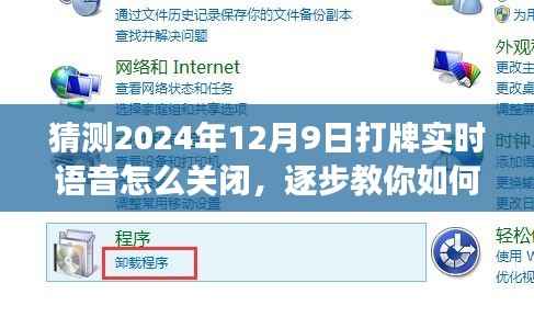 2024年12月9日打牌实时语音功能关闭操作指南,适用于初学者与进阶用户