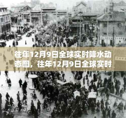 往年12月9日全球实时降水动态图及其产品全面评测