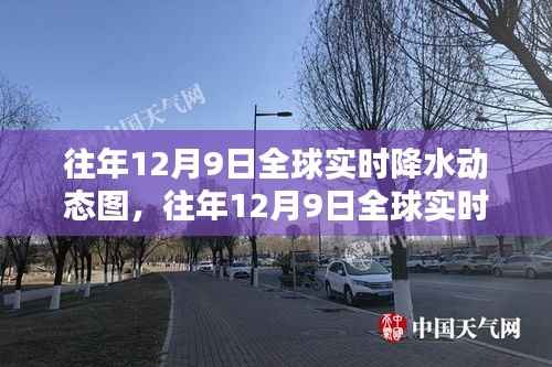往年12月9日全球实时降水动态图及其产品全面评测