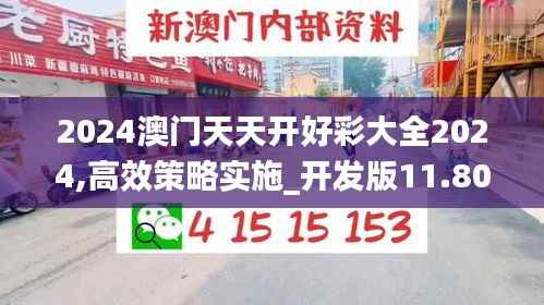 2024澳门天天开好彩大全2024,高效策略实施_开发版11.802