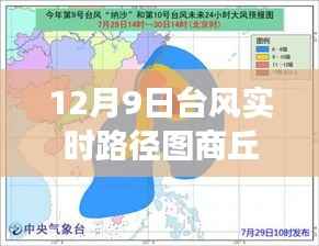 台风来袭下的商丘,逆风破浪,台风中的学习与成长之路实时路径图发布