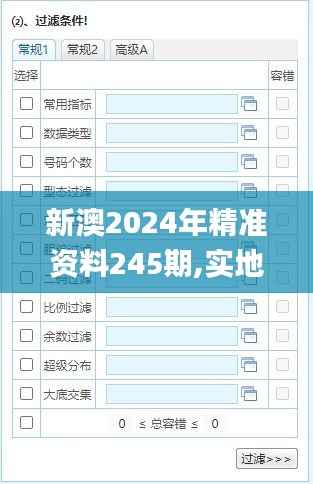 新澳2024年精准资料245期,实地方案验证策略_静态版16.201