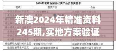 新澳2024年精准资料245期,实地方案验证策略_静态版16.201