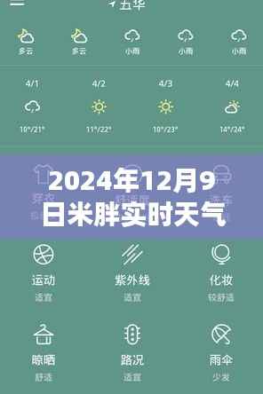 米胖实时天气应用评测，精准预测未来尽在指尖掌控，深度解析米胖天气应用优势
