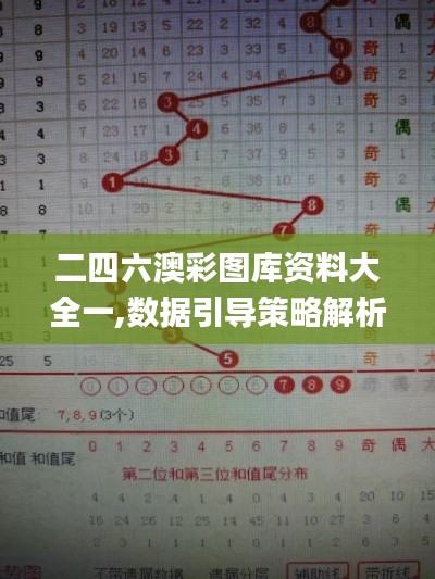 二四六澳彩图库资料大全一,数据引导策略解析_VR9.516