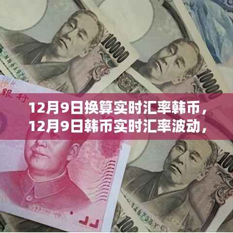12月9日韩币实时汇率回顾与波动影响