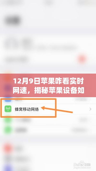 揭秘苹果设备实时查看网速的方法,以12月9日为观察点的新指南