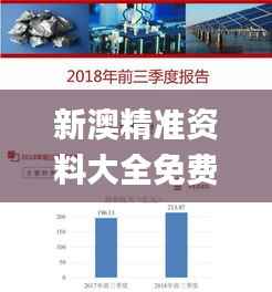 新澳精准资料大全免费,收益说明解析_7DM19.739