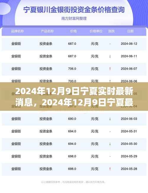 宁夏最新消息实时报道,2024年12月9日最新动态
