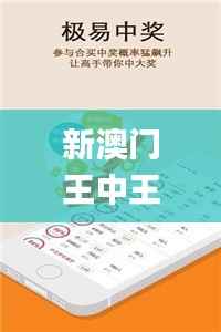 新澳门王中王100%期期中,精细化定义探讨_7DM17.185