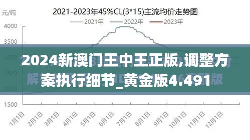 2024新澳门王中王正版,调整方案执行细节_黄金版4.491