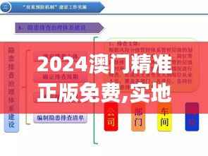 2024澳门精准正版免费,实地执行考察方案_Console7.393