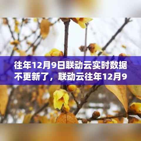 联动云往年数据暂停更新现象解析,聚焦12月9日实时数据暂停背后的原因与观点探讨