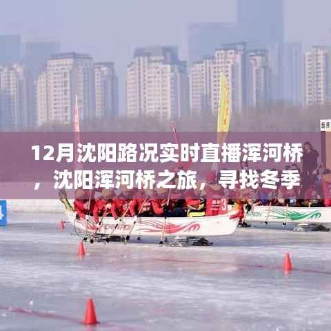 沈阳浑河桥冬季路况实时直播,探寻静谧美景之旅