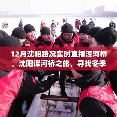 沈阳浑河桥冬季路况实时直播,探寻静谧美景之旅