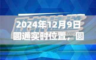 2024年视角，圆通实时位置追踪技术揭秘