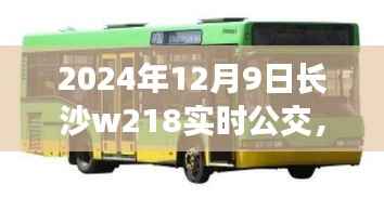 长沙公交新纪元,W218线路实时观察报告——时光穿梭中的公交穿梭