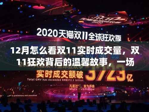 双11狂欢背后的实时成交量奇迹与温馨故事探寻