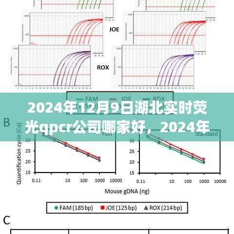 湖北实时荧光PCR公司选择指南，如何选择最适合您的合作伙伴（2024年湖北实时荧光PCR公司排名推荐）
