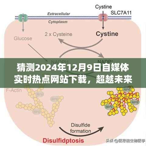 超越未来，自媒体实时热点网站下的自我挑战与成长之旅（预测2024年12月9日）
