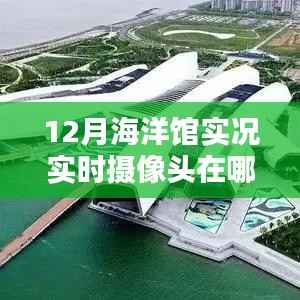 科技引领海洋新视界，深海探秘与海洋馆实时摄像头实况观察（十二月）