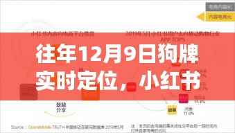 小红书独家揭秘,往年12月9日狗牌实时定位全解析